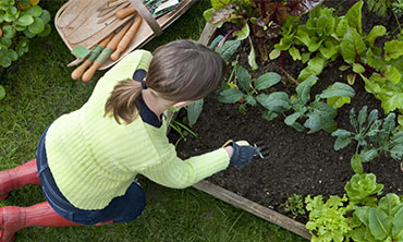 Turning an Ugly Lawn into the  Best Grass on the Block